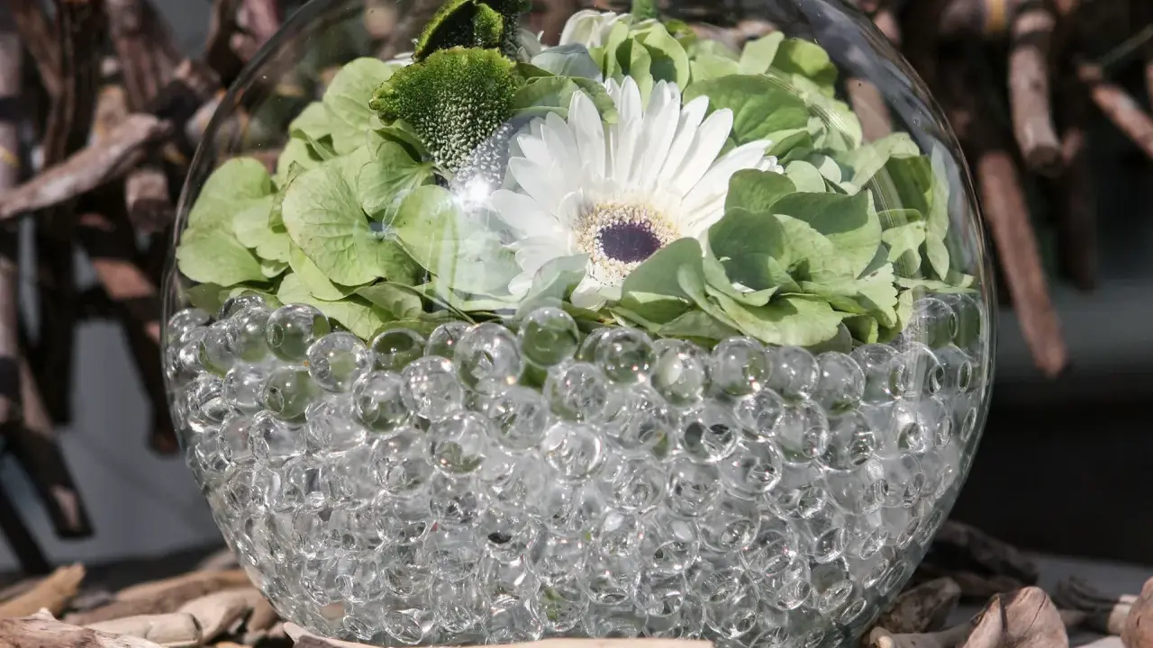 En glasvas fylld med vattenbollar till blommor, med en vit gerbera och gröna blad.