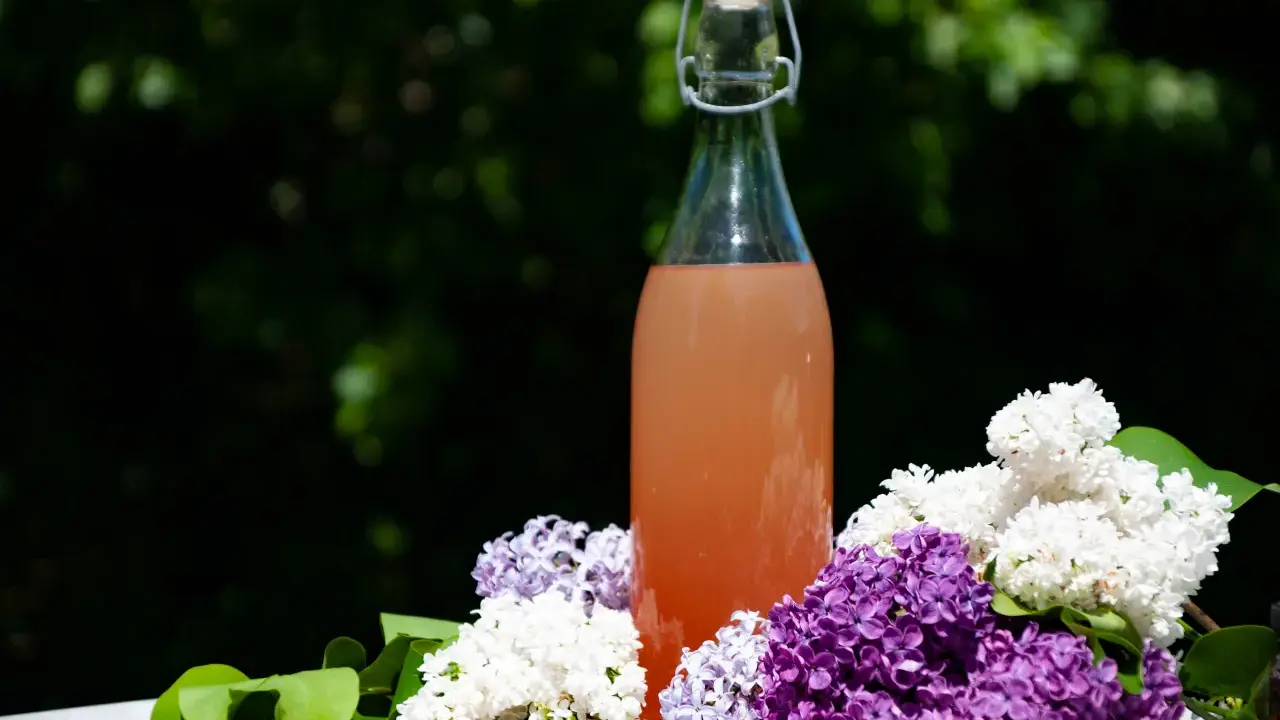 En flaska med rosa dryck omgiven av lila och vita syrenblommor. En påminnelse om att torka syrenblommor för att bevara doften.