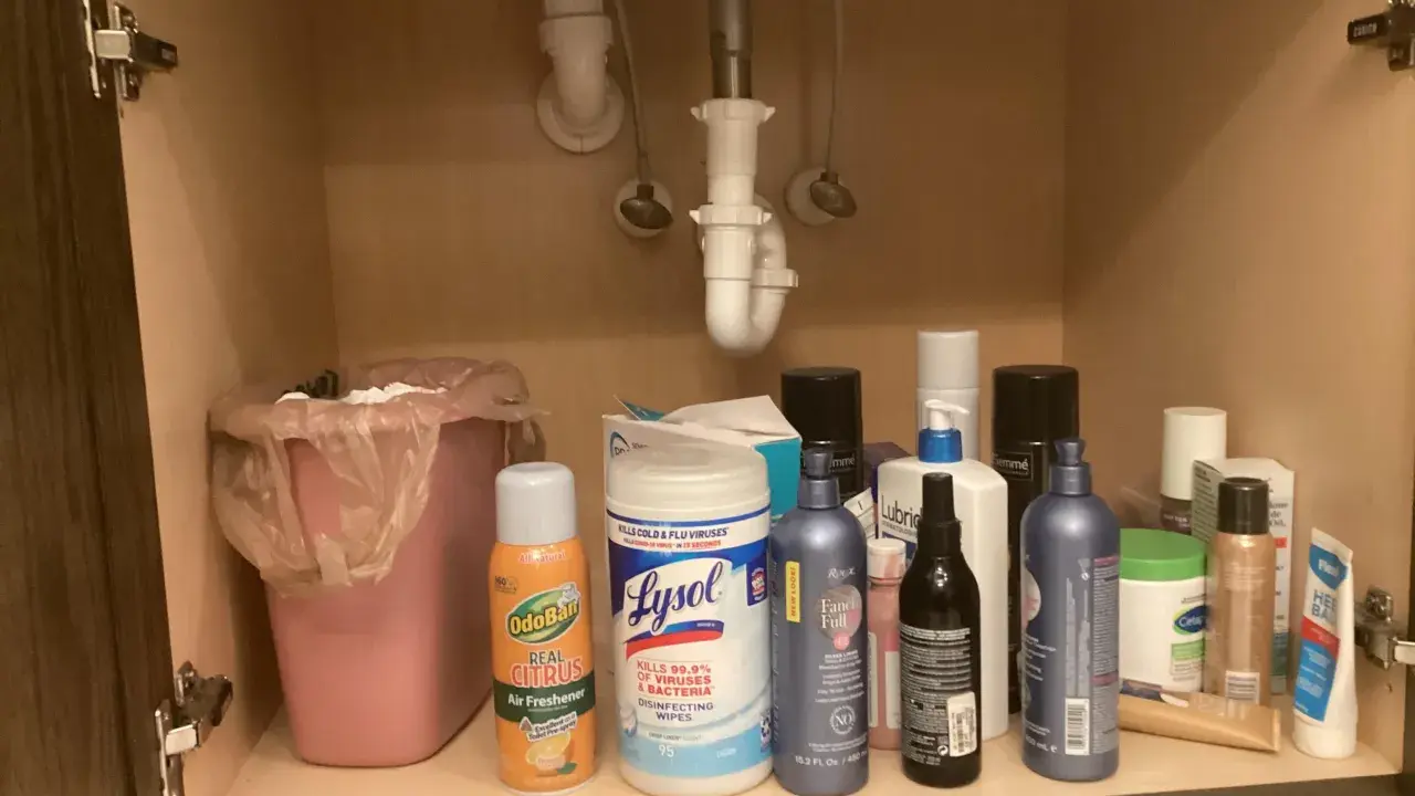 Under diskbänken finns en rosa soptunna och diverse rengöringsmedel, inklusive OdoBan och Lysol-servetter, som kanske ska råda bot på dålig lukt i handfatet.