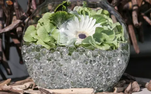 En glasvas fylld med vattenbollar till blommor, med en vit gerbera och gröna blad.