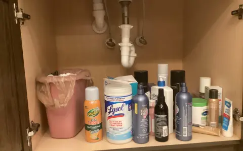Under diskbänken finns en rosa soptunna och diverse rengöringsmedel, inklusive OdoBan och Lysol-servetter, som kanske ska råda bot på dålig lukt i handfatet.