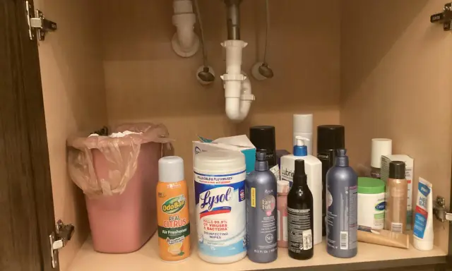 Under diskbänken finns en rosa soptunna och diverse rengöringsmedel, inklusive OdoBan och Lysol-servetter, som kanske ska råda bot på dålig lukt i handfatet.