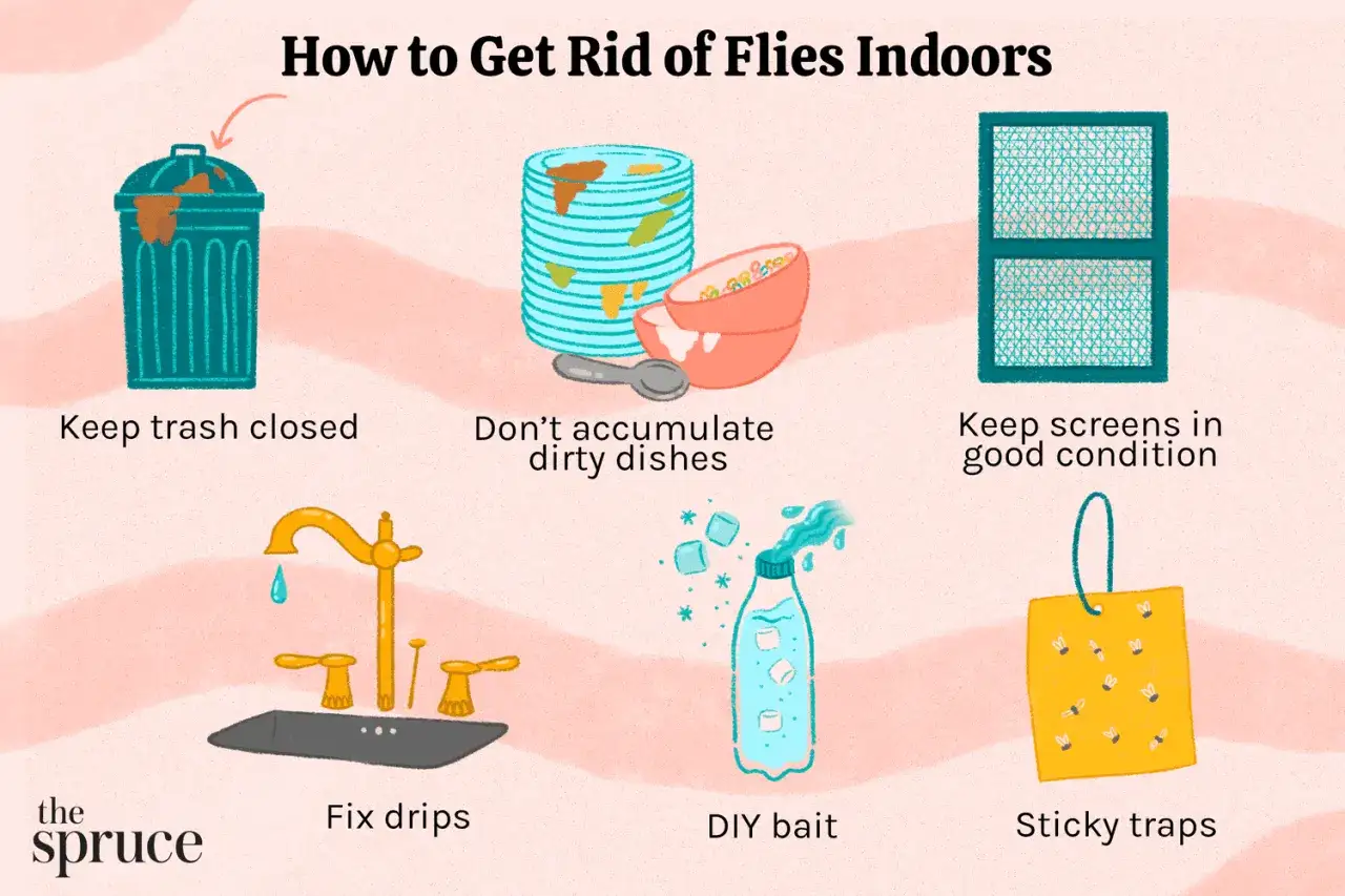 Tips för att bli av med flugor inomhus: stäng sopkorgen, diska direkt, laga droppande kranar, håll fönsternät hela och använd klisterfällor.