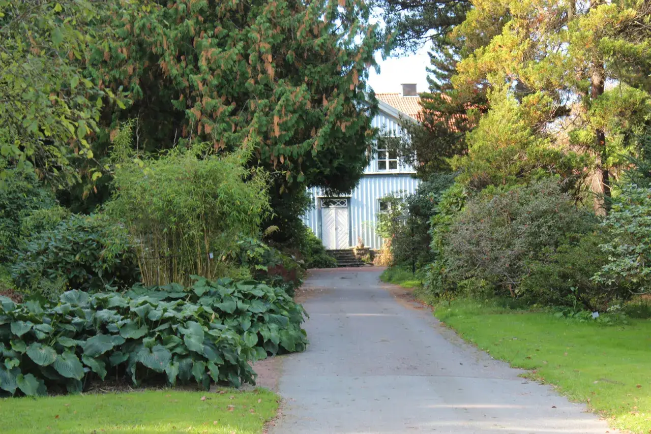 En vacker tr&auml;dg&aring;rd med en bl&aring;vit villa i bakgrunden. En stig leder fram till huset, kantad av frodiga v&auml;xter och tr&auml;d. Kanske dags att plantera buske h&auml;r?