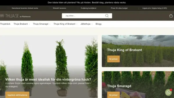 Växter för din trädgård, inklusive den populära thuja Brabant. Hitta den perfekta thuja för din häck.