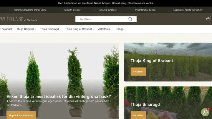 Växter för din trädgård, inklusive den populära thuja Brabant. Hitta den perfekta thuja för din häck.